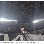 프로야구 출입 17년, 세 번의 우승 지켜보다 이미지