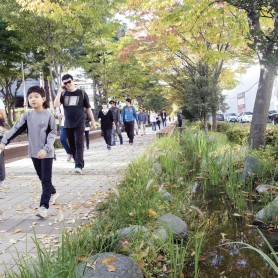 2017 가을 가족걷기 대회 이미지