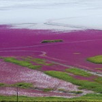 [광주·전남보도 사진전] 현장의 눈빛 이미지